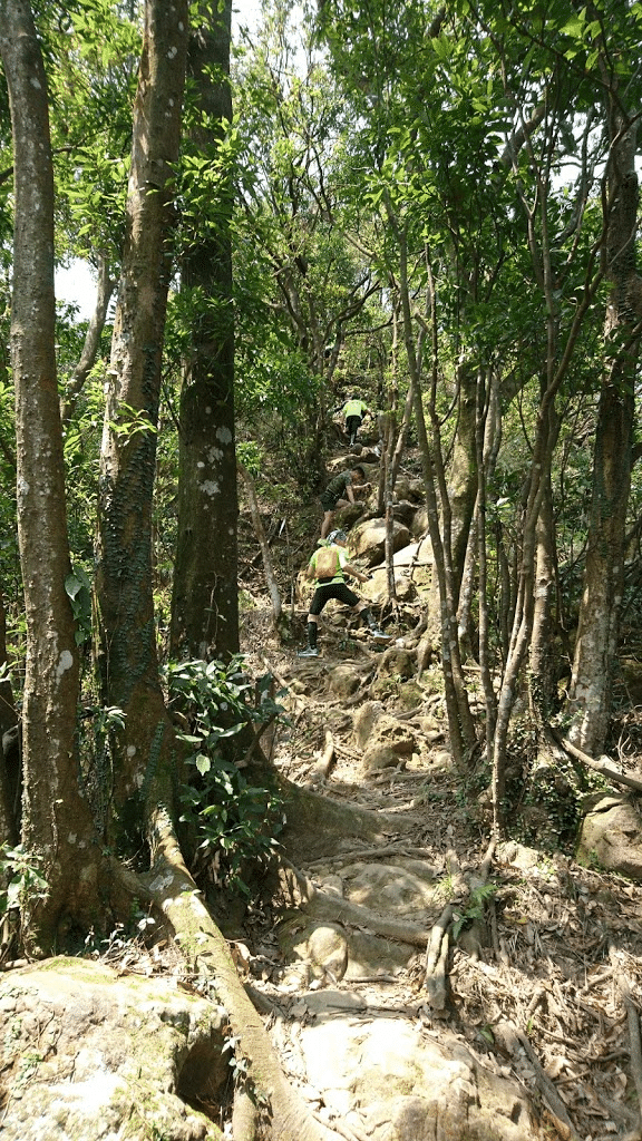 Image in a image block